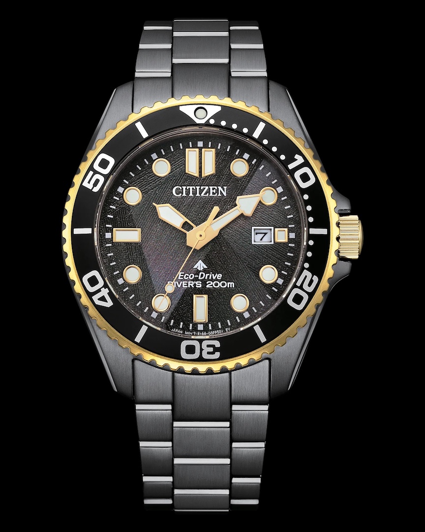 Citizen Promaster Dive Light in Black 