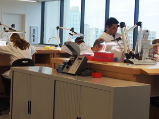 The Miami based Chopard Service Center also houses a 5S training facility. 