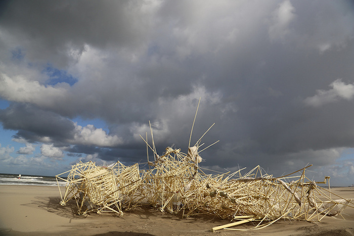 The Strandbeests come alive and walk in the wind. 