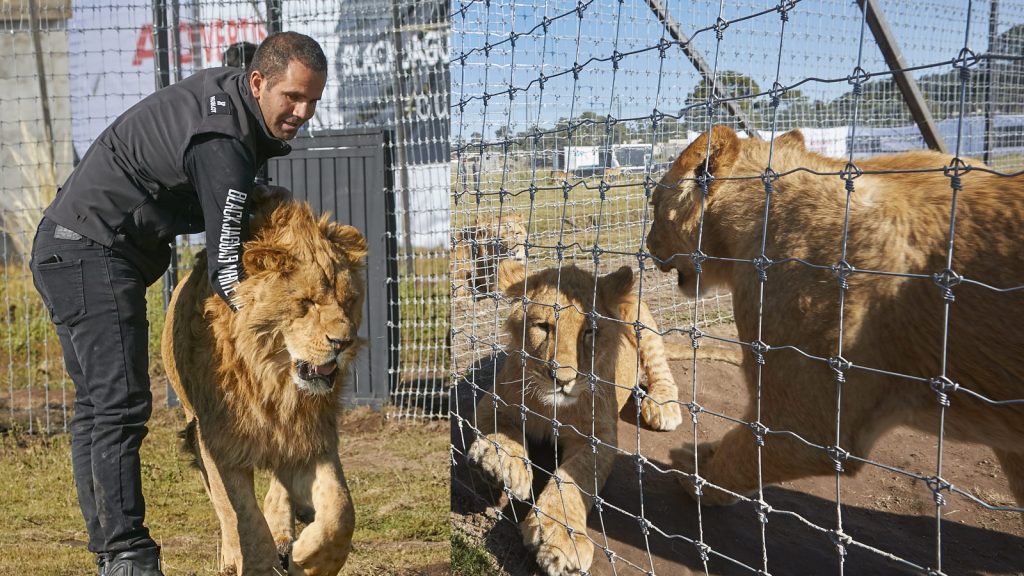 Hublot works with Black Jaguar White Tiger Foundation, complete with special watches to benefit the cause. 