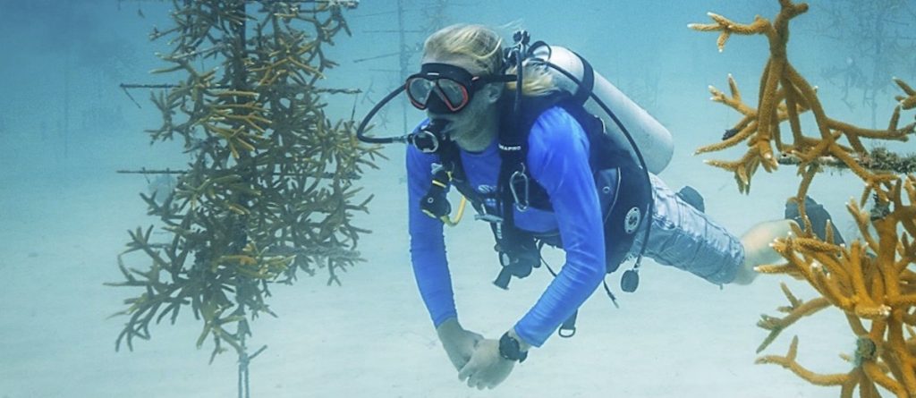 Oris celebrates World Ocean's Day with Staghorn Restoration Limited Edition watch