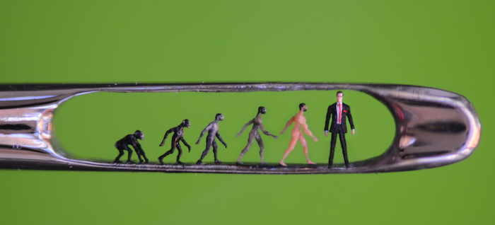 Willard Wigan, Evolution