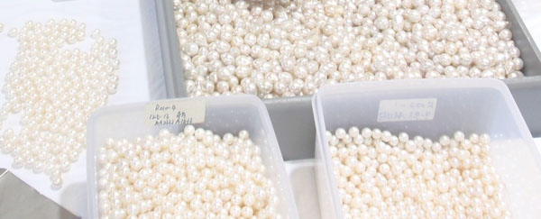 A vast assortment of pearls in all shapes and sizes comes from China. 
