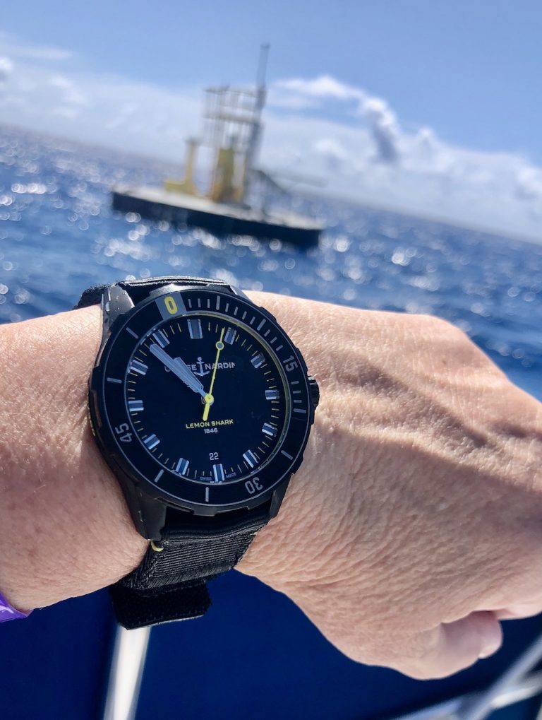Ulysse Nardin Diver Lemon Shark And The Brand's Ocean Efforts ATimelyPerspective