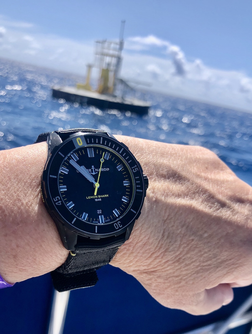 Ulysse Nardin Diver Lemon Shark