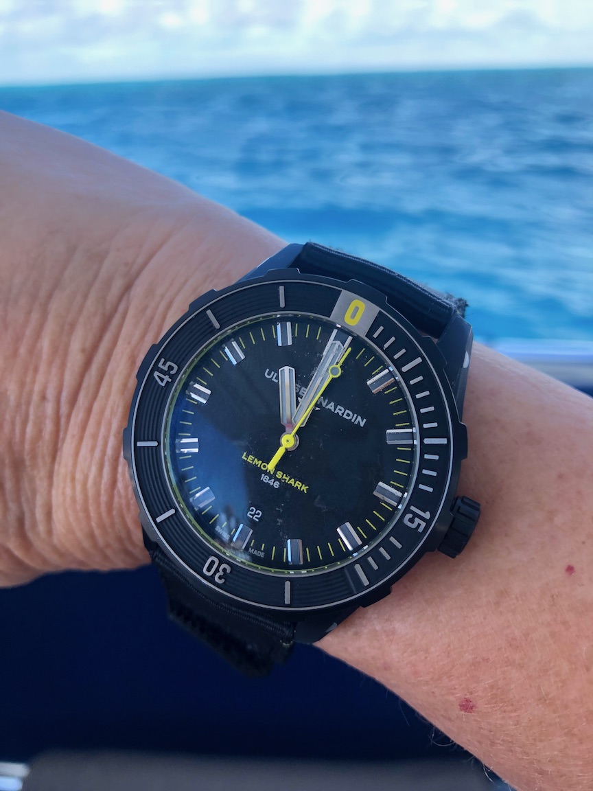 Ulysse Nardin Diver Lemon Shark