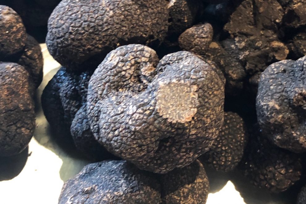 IMG_1575 black truffles