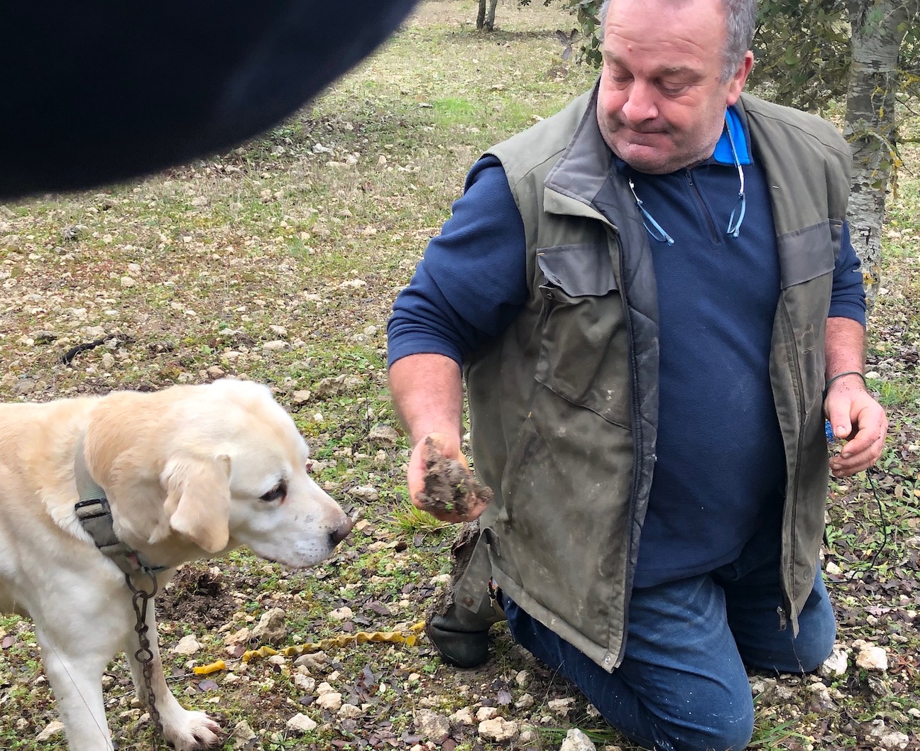 truffle hunting 