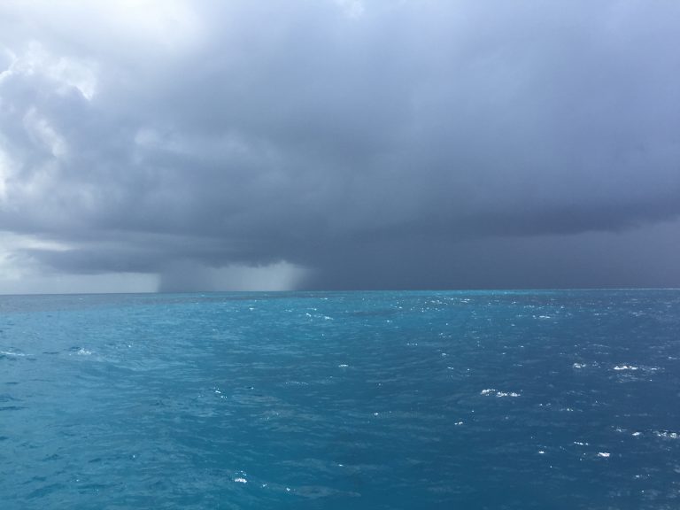 Coral Restoration Foundation, Oris