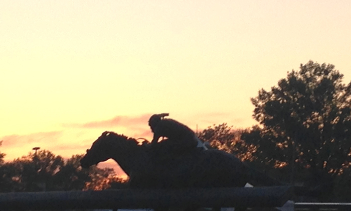 Dusk at Churchill Downs: The final resting place of Barbaro, the horse that won the 132nd Kentucky Derby and was euthanized shortly thereafter. 