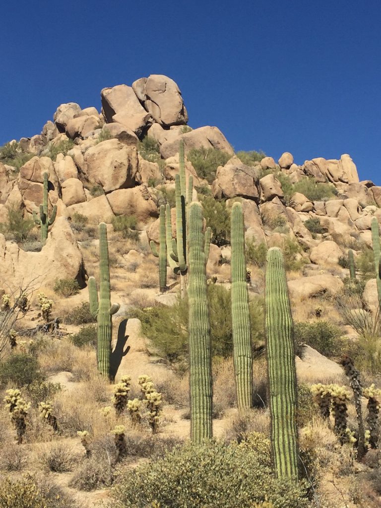 Hiking Pinnacle Peak in Arizona's Sonoran desert