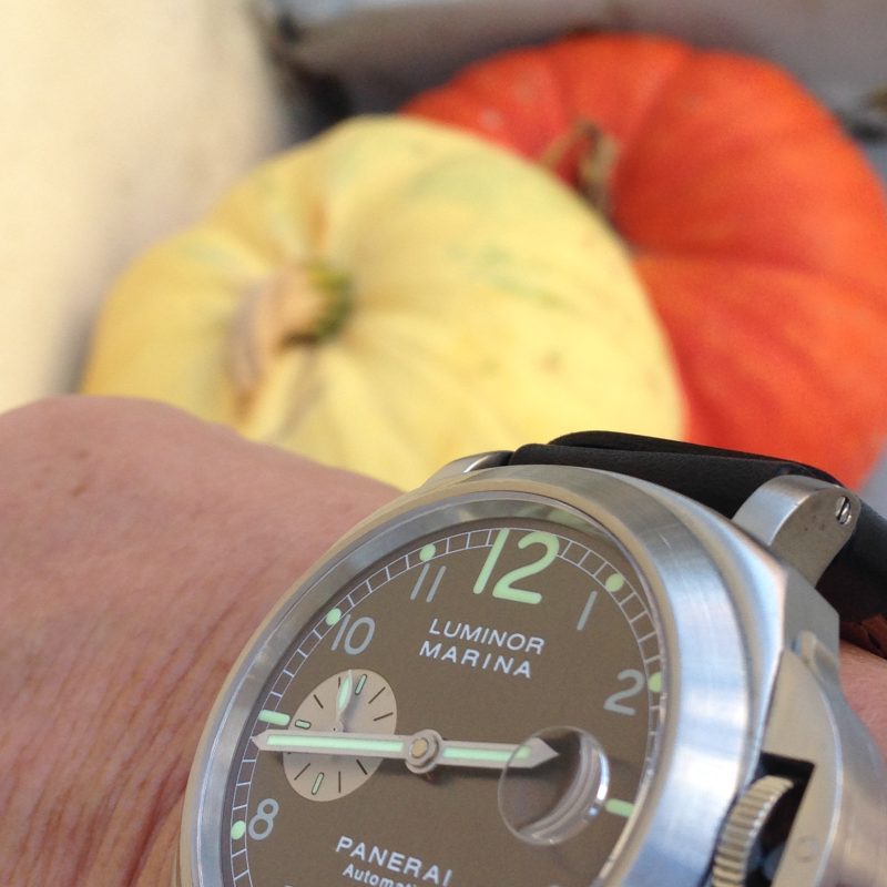 Clocks and watches go back one hour as of Nov. 5,2017 for Daylight Saving Time.