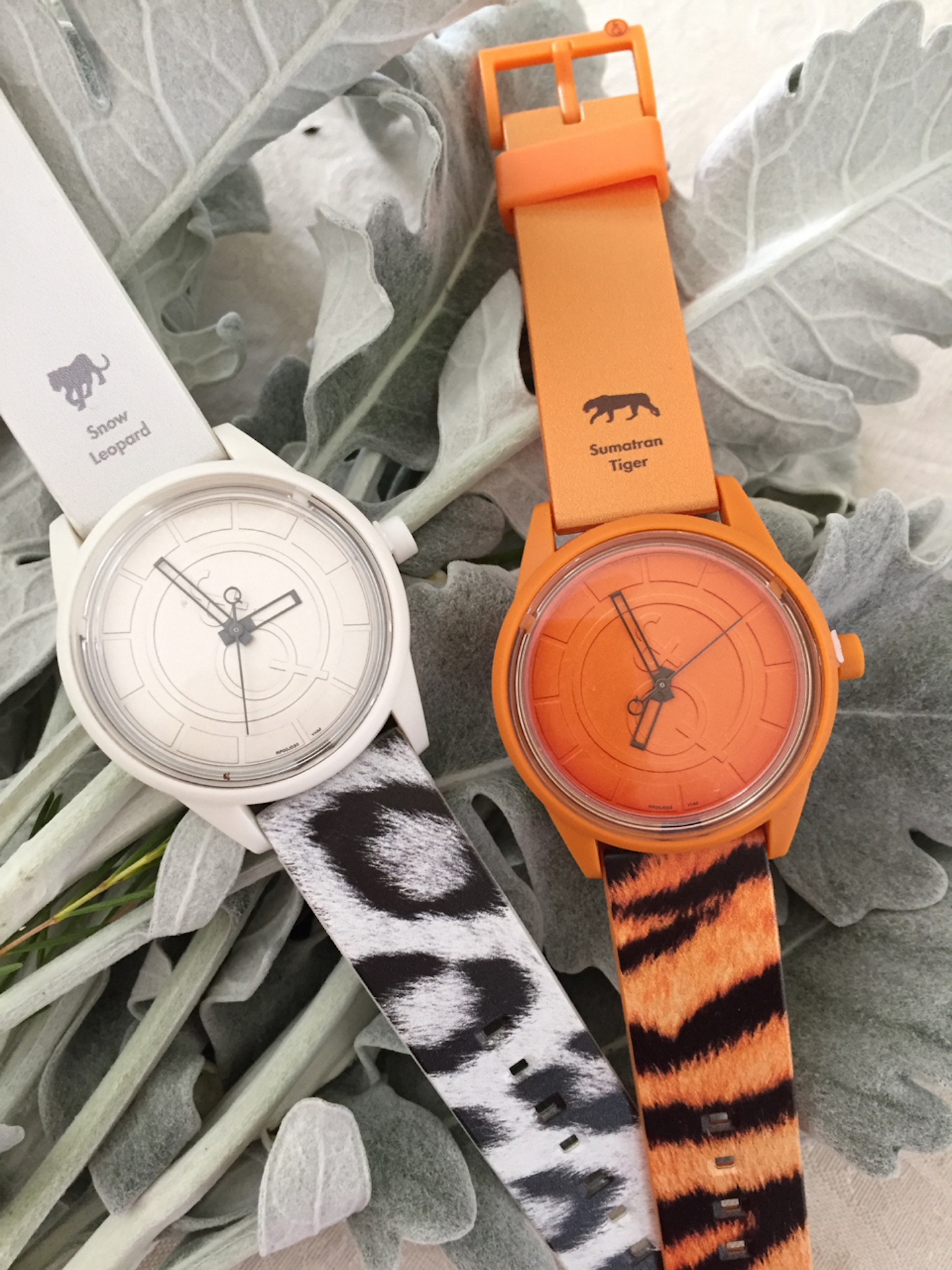 Rolex solar deals powered watch