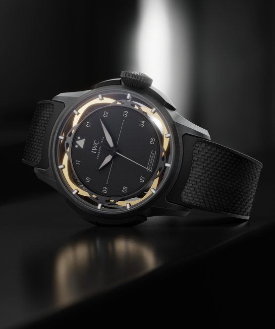 IWC Shock Absorber XPL