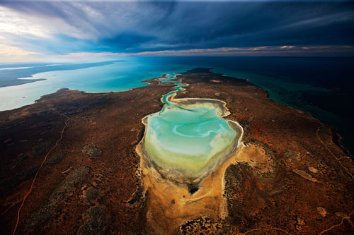 Shark Bay (Planet Ocean movie) (C) Yann Arthus-Bertrand