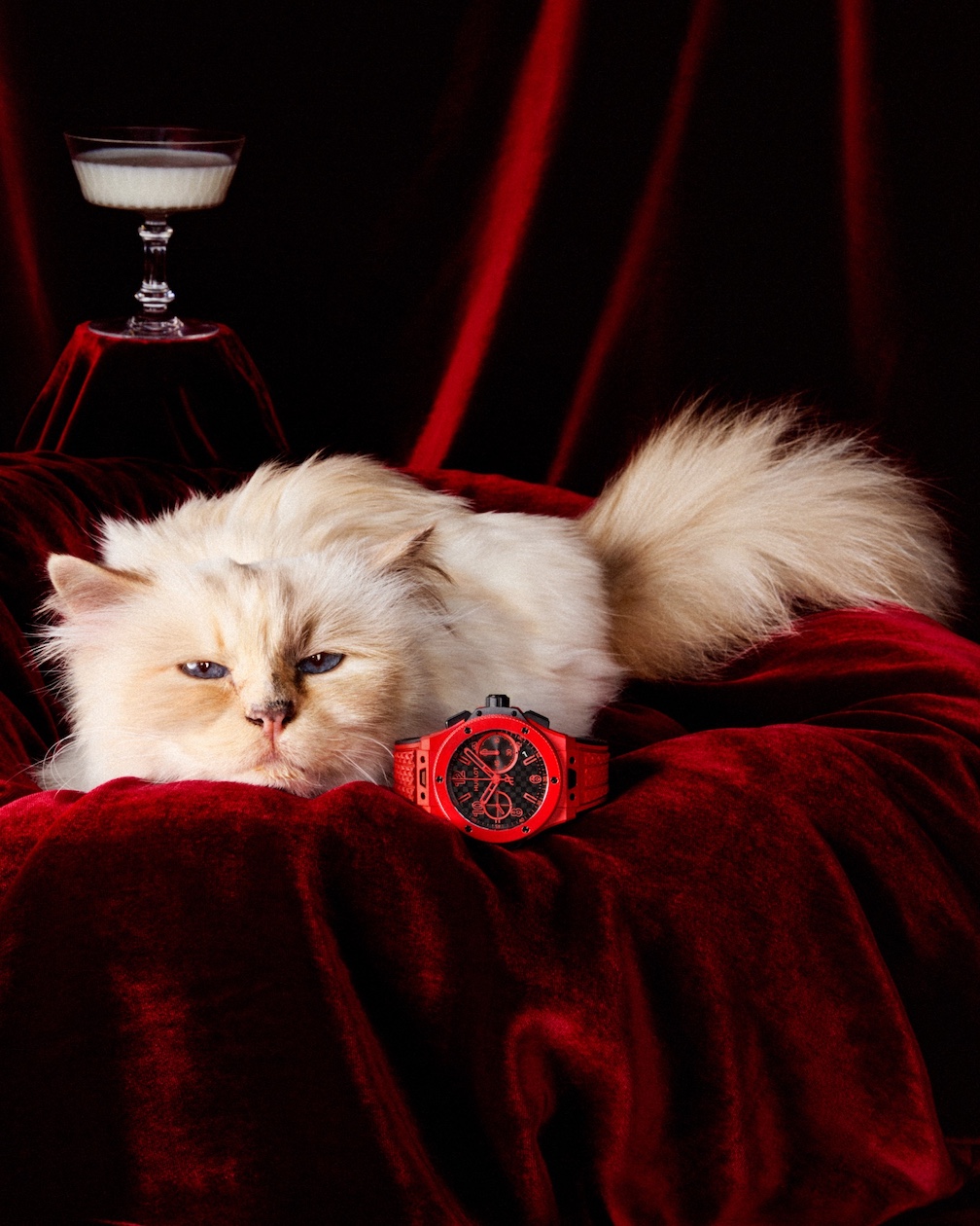 Hublot Own It campaign with Choupette