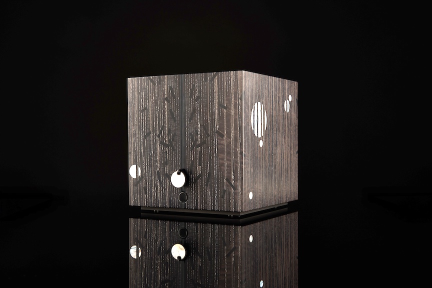 Mystery Box: Forget Time by Fiona Kruger and DeBethune.