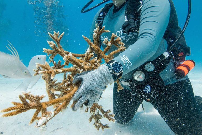 We were invited by Oris to visit with the Coral Restoration Foundation and experience their work first hand. 