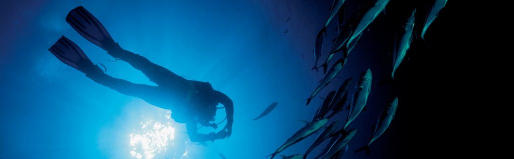 Rolex ocean explorers. 