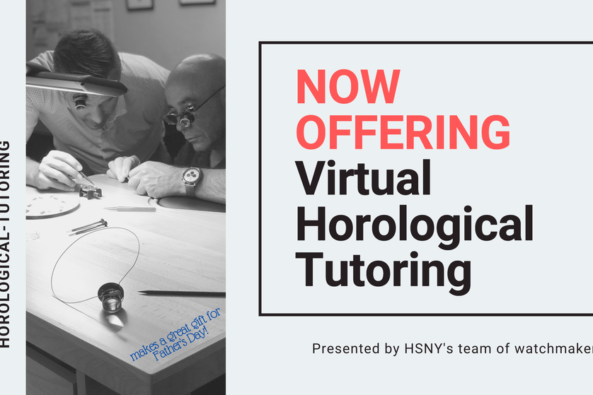 hsnyvht HSNY virtual horological training