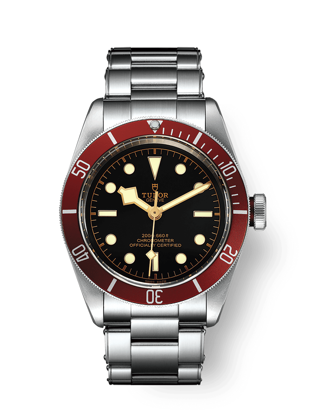 Tudor Black Bay