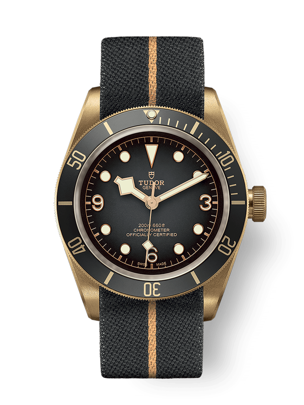 Tudor Black Bay Bronze